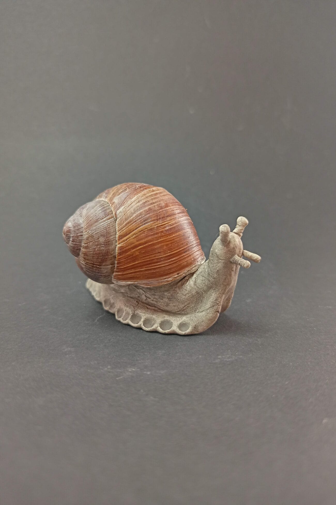 Leliu_sodas_Keramikine-SRAIGE-GREITUTE-1-1